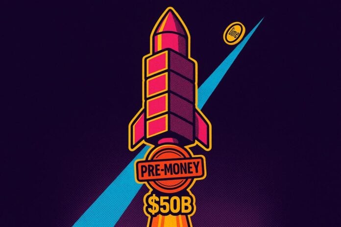 DeepSeek new funding